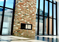 Carew Street House